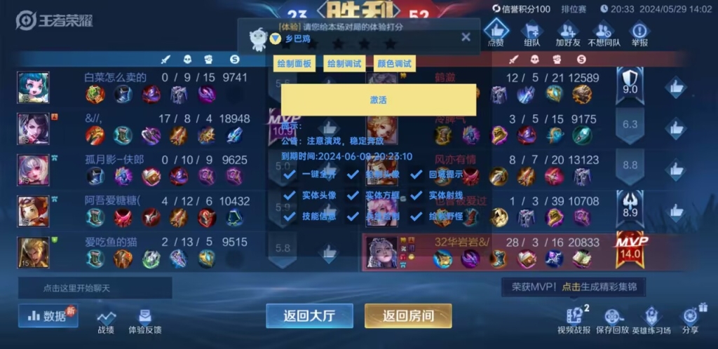 王者荣耀辅助外挂购买：提升战力利器！